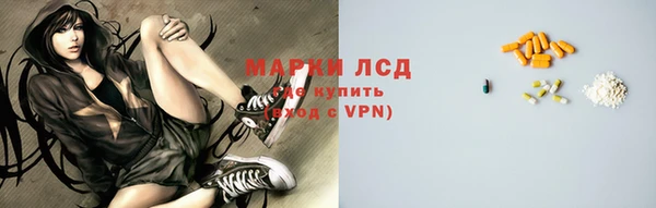 PSILOCYBIN Горнозаводск