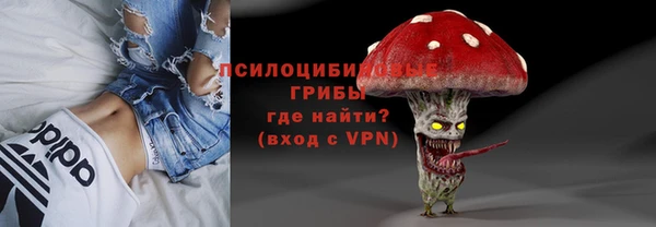 первитин Горняк