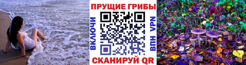 OMG ТОР  Яхрома  Псилоцибиновые грибы мицелий 